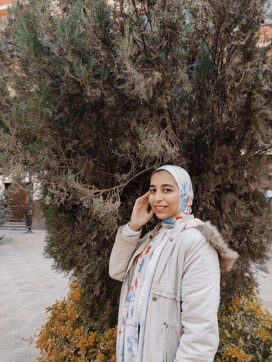 photo hightboard season 2022